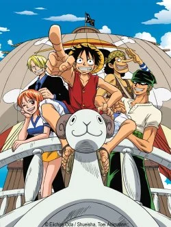 one piece vogue merry